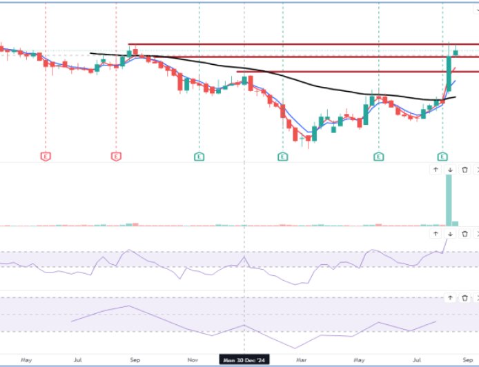 Rishabh Instruments: Weekly Chart - Trade Data