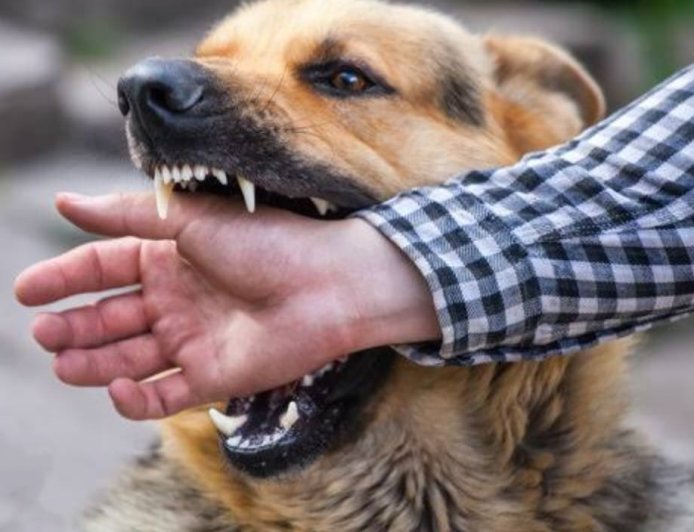 Rabies in India: A Preventable Tragedy in Urgent Need of Systemic Reform