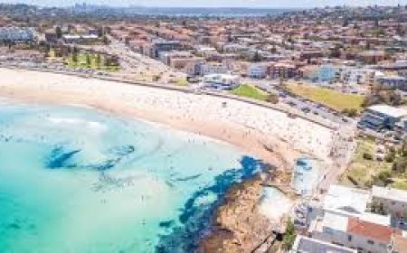 Bondi Beach Terror Attack: Death Toll Reaches 16 in Targeted Assault on Hanukkah Celebration