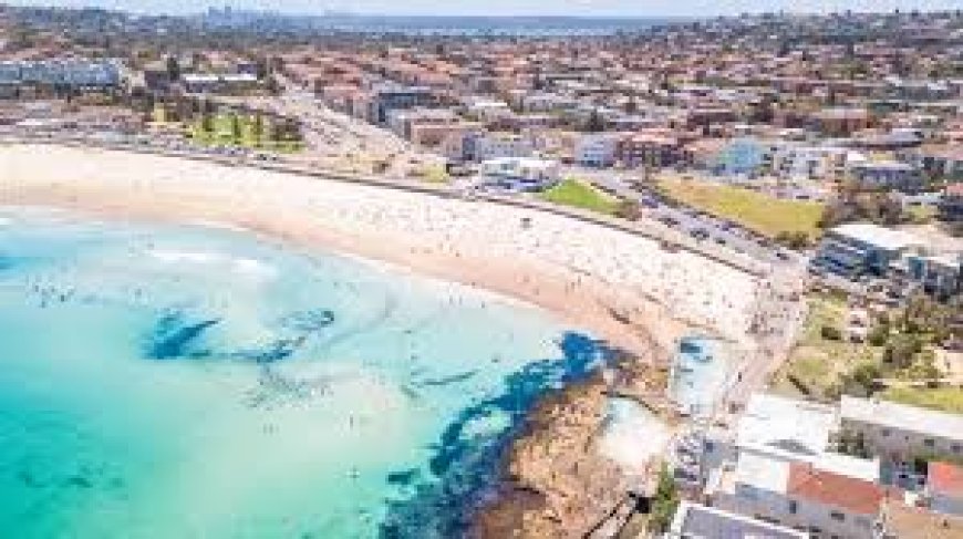 Bondi Beach Terror Attack: Death Toll Reaches 16 in Targeted Assault on Hanukkah Celebration