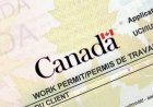 Canada's Work Permit Crisis