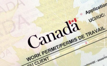 Canada's Work Permit Crisis