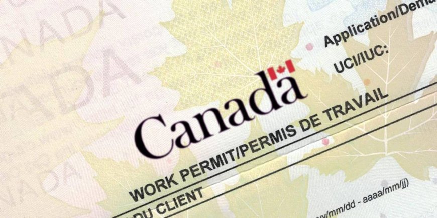 Canada's Work Permit Crisis